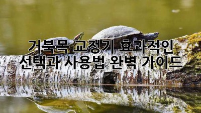 거북목 교정기: 효과적인 선택과 사용법 완벽 가이드