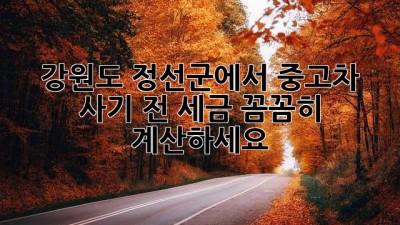 강원도 정선군에서 중고차 사기 전, 세금 꼼꼼히 계산하세요!